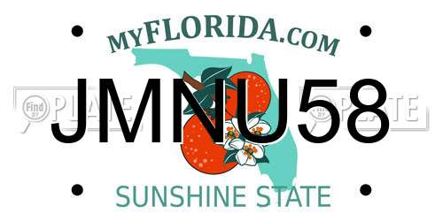 JMNU58 Florida License Plate