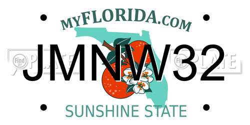 JMNW32 Florida License Plate