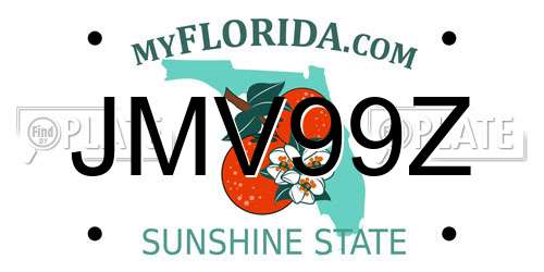 JMV99Z Florida License Plate