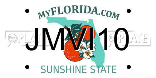 JMVI10 Florida License Plate