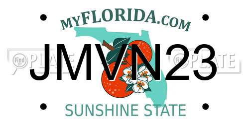 JMVN23 Florida License Plate