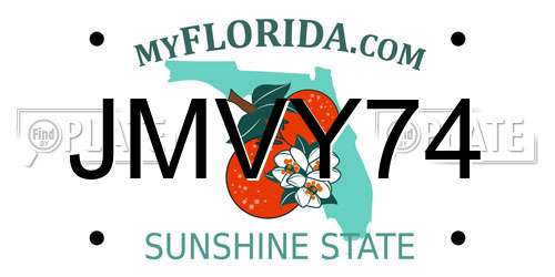 JMVY74 Florida License Plate