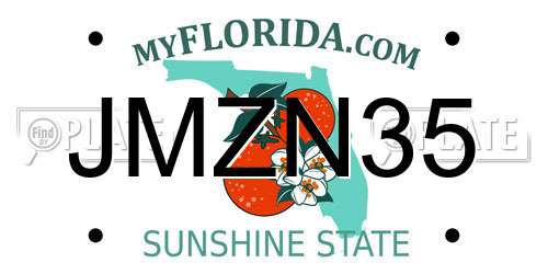 JMZN35 Florida License Plate