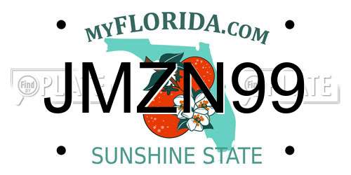 JMZN99 Florida License Plate