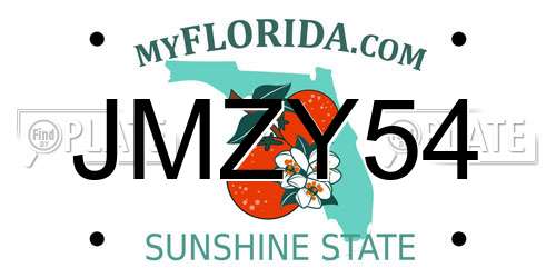 JMZY54 Florida License Plate