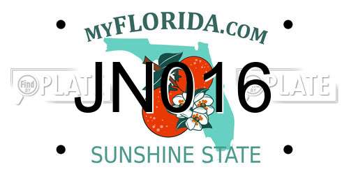 JN016 Florida License Plate