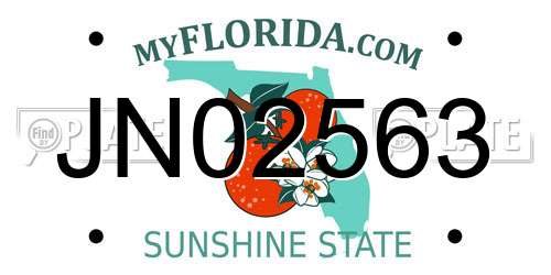 JN02563 Florida License Plate