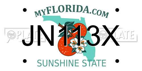 JN113X Florida License Plate
