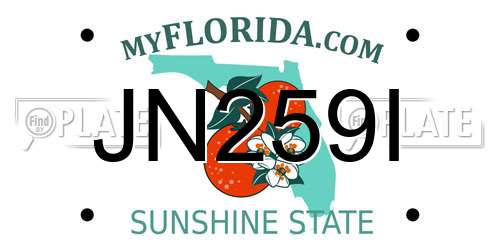 JN259I Florida License Plate