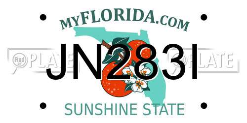 JN283I Florida License Plate