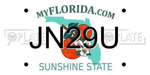 JN29U Florida License Plate