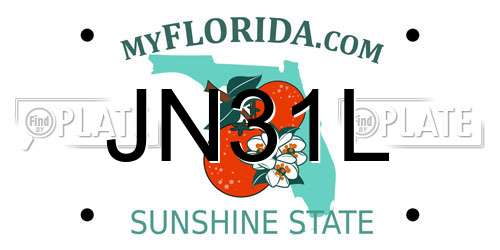 JN31L Florida License Plate