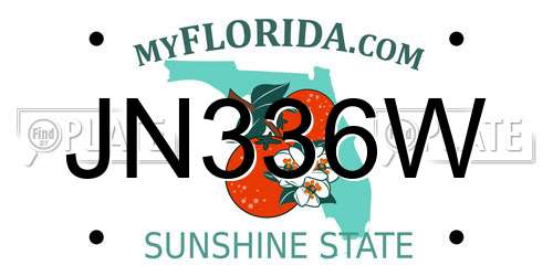 JN336W Florida License Plate