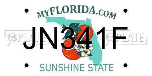 JN341F Florida License Plate
