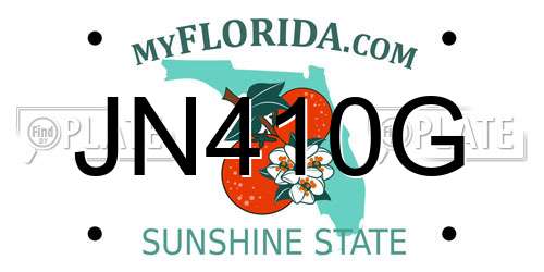 JN410G Florida License Plate
