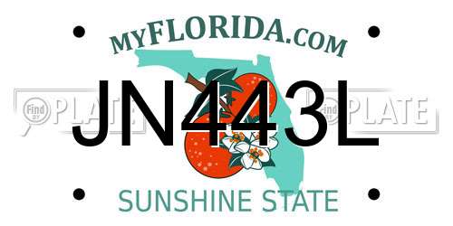 JN443L Florida License Plate