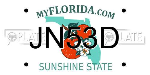JN53D Florida License Plate