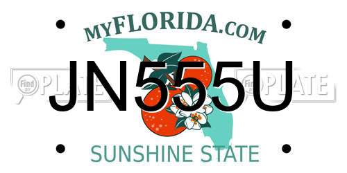 JN555U Florida License Plate