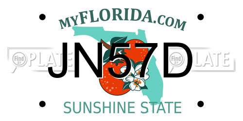 JN57D Florida License Plate