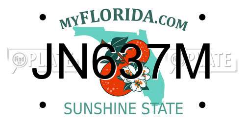 JN637M Florida License Plate