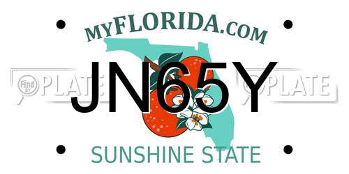 JN65Y Florida License Plate