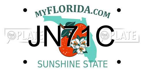JN71C Florida License Plate