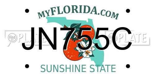 JN755C Florida License Plate