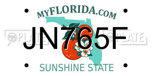 JN765F Florida License Plate