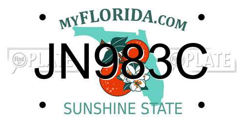 JN983C Florida License Plate