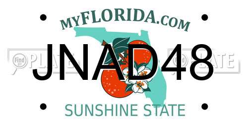 JNAD48 Florida License Plate