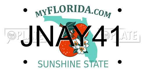 JNAY41 Florida License Plate