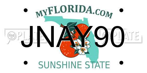 JNAY90 Florida License Plate