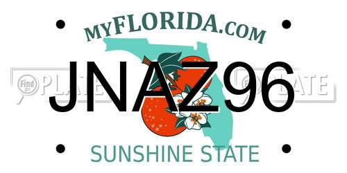 JNAZ96 Florida License Plate