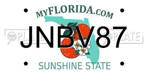 JNBV87 Florida License Plate