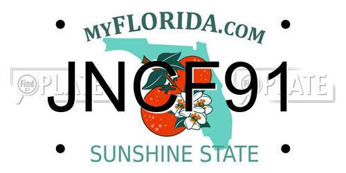 JNCF91 Florida License Plate