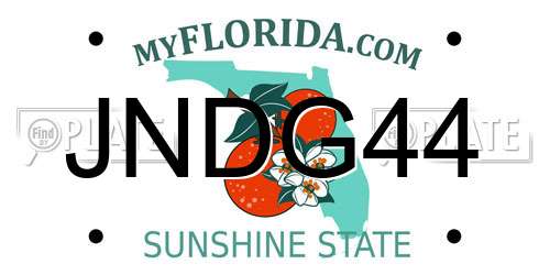 JNDG44 Florida License Plate