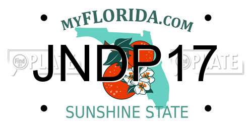JNDP17 Florida License Plate
