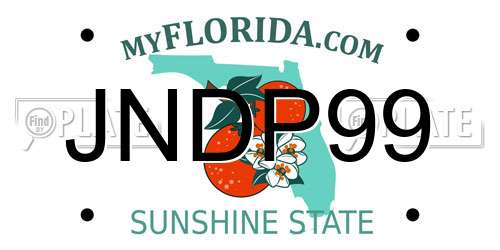 JNDP99 Florida License Plate