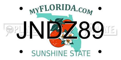JNDZ89 Florida License Plate