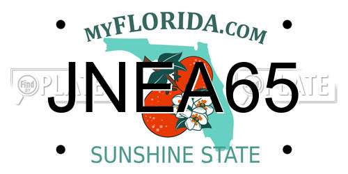 JNEA65 Florida License Plate