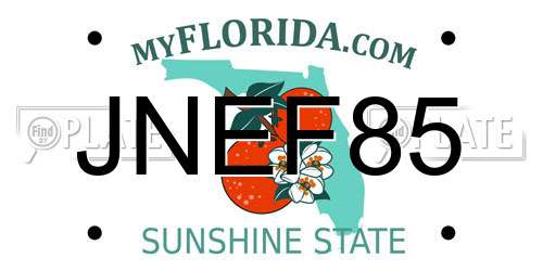 JNEF85 Florida License Plate