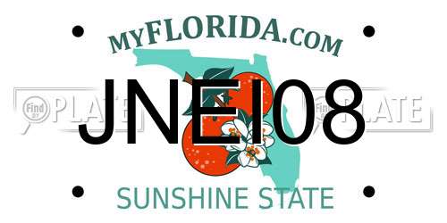 JNEI08 Florida License Plate