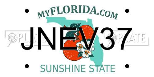 JNEV37 Florida License Plate