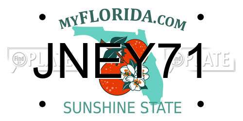 JNEY71 Florida License Plate