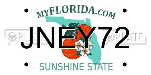 JNEY72 Florida License Plate