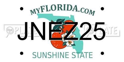 JNEZ25 Florida License Plate