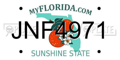 JNF4971 Florida License Plate