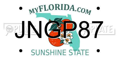 JNGP87 Florida License Plate