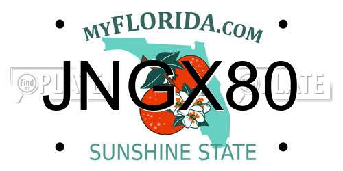 JNGX80 Florida License Plate