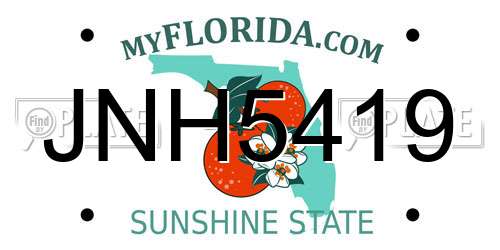 JNH5419 Florida License Plate